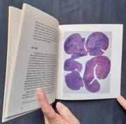 Hantaï - par HANTAI (Simon) - BONNEFOI (Geneviève) -  - Image 3