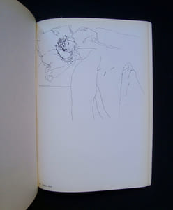 David Hockney - Zeichnungen und druckgraphik 1959-1977 - 