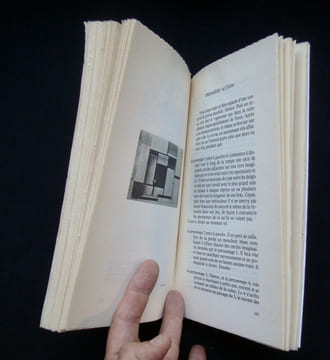 Lecture élémentaire - Algèbre des facilités et tout le roman des lettres - . SEUPHOR (Michel) -