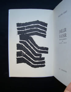 Jaillir saisir - 