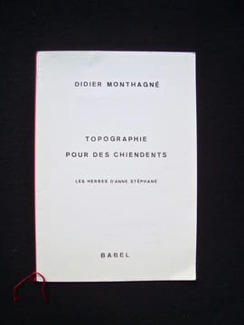 Topographie pour des chiendents -. MONTHAGNE (Didier) - (Anne Stéphane) -