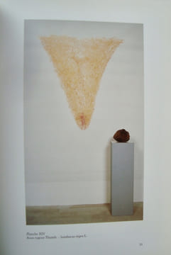 In natura rerum -. GETTE (Paul-Armand) -