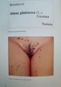 Image de livre