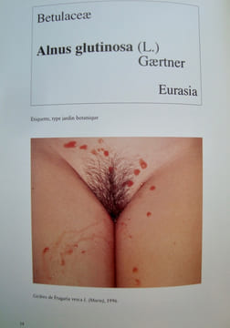 In natura rerum -. GETTE (Paul-Armand) -
