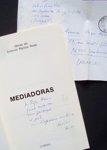 Mediadoras -