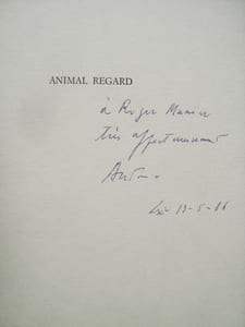 Animal regard - 