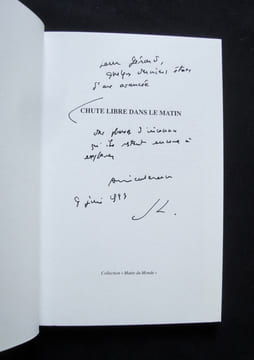 Chute libre dans le matin -. STEINMETZ (Jean-Luc) -