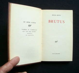 Brutus -