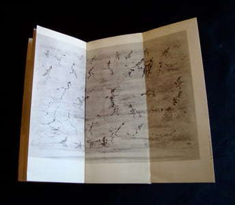 Henri Michaux : oeuvres récentes, 1959-1962 -