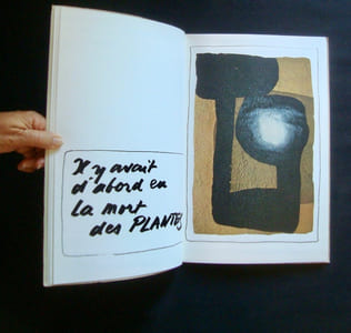 Pollution ou rien que la mort de l'arbre - Poème de Jean-pierre Lemesle - Signes de Kijno -