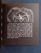 Le viel homme qui disait « pourquoi » suivi de La petite fille qui s’appelait Je.  par CUMMINGS (Edward Eslin).  - Image 3