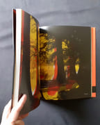 Tony Soulié : Lyon, d'une rive à l'autre -  par SOULIE (Tony) - Gilbert Vaudey -  - Image 3