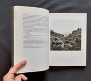Petra, le dit des Pierres. par CARDINAL (Philippe), LE CLEZIO ((Jean-Marie Gustave), ABU HAMDAN (Jamal), WADE MINKOWSKI (Anne) - BEN JELLOUN (Tahar), BUTOR (Michel) - ADONIS - OLLIER (Claude) -  - Image 2