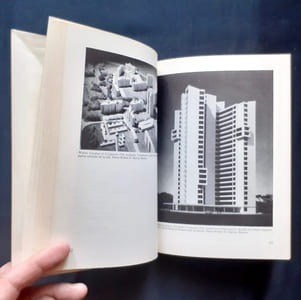 Apollon dans la démocratie - La nouvelle architecture et le Bauhaus -