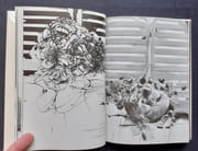 Velickovic, l'épouvante et le vent - par VELTER (André) - VELICKOVIC (Vladimir) - - Image 3