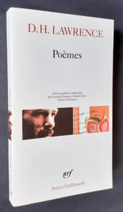 Poèmes -