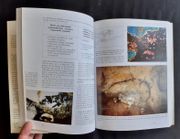 Image de livre