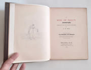 A mine of faults - Translated from the original manucript by F.W. Bain -  par BAIN (Francis William) -  - Image 3