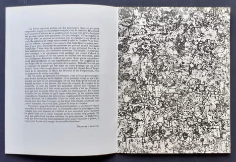 Tableaux d'assemblages - . DUBUFFET (Jean) - LIMBOUR (Georges) -