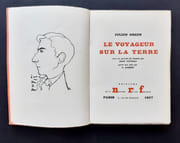 Le voyageur sur la terre - par GREEN (Julien) - - Image 2