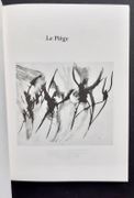 Image de livre