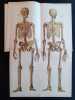 Le corps humain - Description anatomique de l'homme - Atlas d'histoire naturelle - Méthode d'enseignement par l'aspect - . ECKARDT (Théodore) - ...