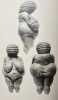 Les Statuettes féminines paléolithiques dites vénus stéatopyges. . PASSEMARD (Luce) - 