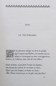 La Chasse aux mouches d'or -