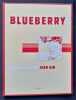 Blueberry - . GIR (Jean) - CHARLIER (Jean-Michel) - GIRAUD (Jean) - ANNESTAY (Jean) -