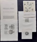 Image de livre