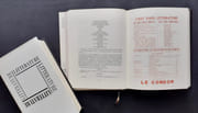 Littérature: N° 1 à 20 (Mars 1919 à Août 1921). - Littérature nouvelle série: N° 1 à 13 (1er Mars 1922 à Juin 1924). Collection complète. par BRETON (André) - ARAGON (Louis) - CENDRARS (Blaise) - ELUARD (Paul) - JACOB (Max) - SOUPAULT (Philippe) - PICABIA (Francis) - TZARA (Tristan) - PERET (Benjamin) - ERNST (Max) - BARON (Jacques) - REVERDY (Pierre) - PAULHAN (Jean) - SALMON (André) - APOLLINAIRE (Guillaume) - DRIEU LA ROCHELLE (Pierre) - VALERY (Paul) - RADIGUET (Raymond) -   - Image 3