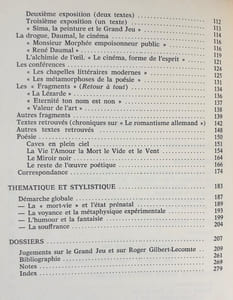 Roger Gilbert-Lecomte et le Grand Jeu - 