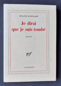 Je dirai que je suis tombé. Poèmes.
