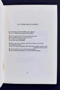 Je dirai que je suis tombé. Poèmes.