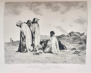 Sahara et Sahel. I : Un été dans le Sahara. II. Une année dans le Sahel.