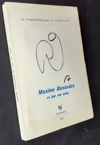 Maxime Alexandre vu par ses amis.