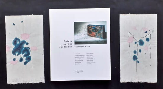 Points perdus cardinaux avec 2 encres originales.