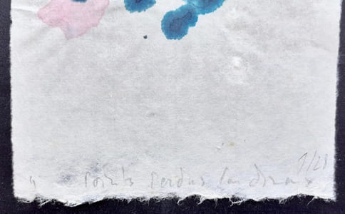 Points perdus cardinaux avec 2 encres originales.