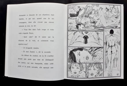Histoire d'O. Dessins originaux de Guido Crepax d'après le livre de Pauline Réage.