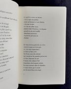 La vie passante.  par BOBIN (Christian).  - Image 3