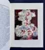 Dubuffet.. RAGON (Michel). DUBUFFET (Jean).