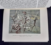 Brauner. par JOUFFROY (Alain). BRAUNER (Victor). - Image 3