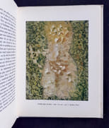 Hérold. par HEROLD (Jacques). BUTOR (Michel). - Image 2