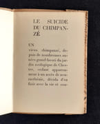 La vie est de toutes les couleurs. par (Guy Lévis Mano).  - Image 3