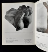L'art contemporain de Bosnie Herzégovine.  par BEGIC (Azra). (Aleksic, Corovic, Hozo, Likar, Njiric, Obralic, Tikvesa, Zec).  - Image 4