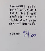 L'handicapé des mers du sud & autres poèmes sans fin. par MESSAGIER (Matthieu). CRETIN (Jean-Pierre).  - Image 3