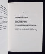 L'handicapé des mers du sud & autres poèmes sans fin. par MESSAGIER (Matthieu). CRETIN (Jean-Pierre).  - Image 4