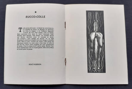 Max Bucaille.