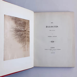 Dix églogues. Poèmes bucoliques.