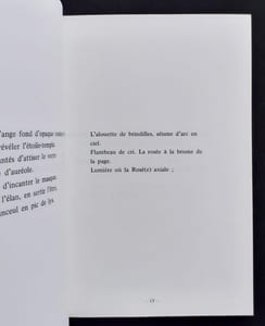 Catalepsie suivi de hiérophanie.